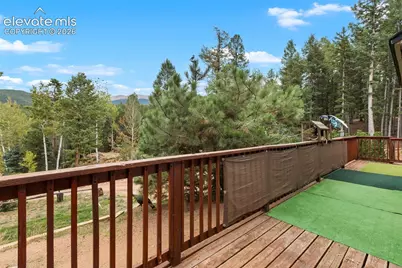 129 Kestrel Court, Divide, CO 80814 - Photo 3
