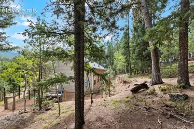 129 Kestrel Court, Divide, CO 80814 - Photo 41