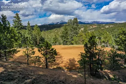 102 Blue Bell Circle, Cripple Creek, CO 80813 - Photo 15