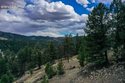 102 Blue Bell Circle, Cripple Creek, CO 80813 - Photo 7