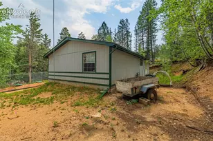 22 Silver Trail, Florissant, CO 80816 - Photo 3
