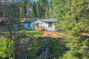 22 Silver Trail, Florissant, CO 80816 - Photo 21
