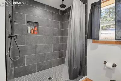 1053 Will Scarlet Drive, Divide, CO 80814 - Photo 13