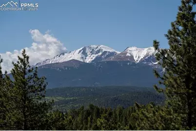 310 Blossom Road, Woodland Park, CO 80863 - Photo 21