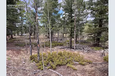 506 Castle Mountain Drive, Guffey, CO 80820 - Photo 7