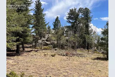 506 Castle Mountain Drive, Guffey, CO 80820 - Photo 9
