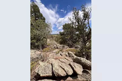 506 Castle Mountain Drive, Guffey, CO 80820 - Photo 11