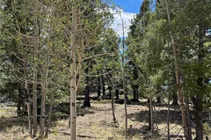 506 Castle Mountain Dr, Guffey, CO 80820 - Photo 1