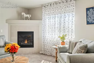8293 Lodge Grass Way, Colorado Springs, CO 80908 - Photo 7