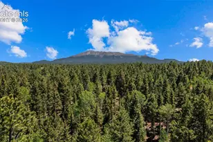 506 Ridge Rd, Divide, CO 80814 - Photo 49