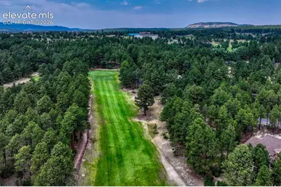 515 Congressional Drive, Monument, CO 80132 - Photo 43