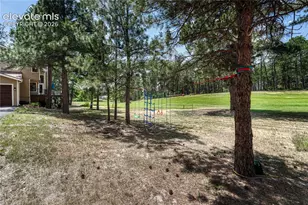 515 Congressional Dr, Monument, CO 80132 - Photo 45