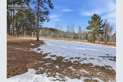 1309 Stone Ridge Drive, Woodland Park, CO 80863 - Photo 45