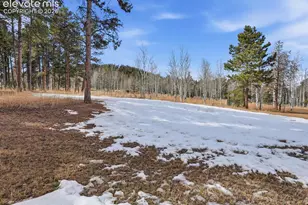 1309 Stone Ridge Dr, Woodland Park, CO 80863 - Photo 45