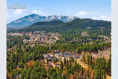 1309 Stone Ridge Drive, Woodland Park, CO 80863 - Photo 47