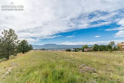 17136 Silent Forest Point, Monument, CO 80132 - Photo 29