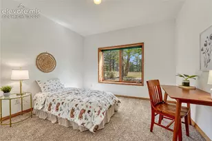 19435 Sherwood Trail, Monument, CO 80132 - Photo 39