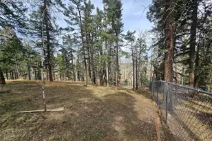 855 Will Stutley Dr, Divide, CO 80814 - Photo 7