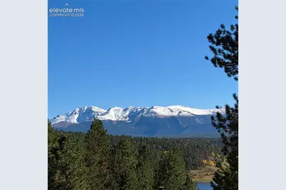 31 Pike View Circle, Divide, CO 80814 - Photo 17