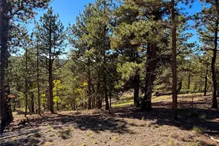 31 Pike View Circle, Divide, CO 80814 - Photo 1