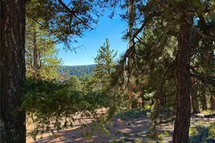 31 Pike View Circle, Divide, CO 80814 - Photo 1