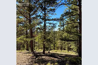 31 Pike View Circle, Divide, CO 80814 - Photo 11