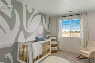 6705 Raven Rdg Ter, Colorado Springs, CO 80925 - Photo 19
