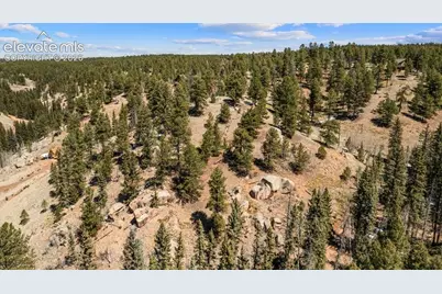 196 Beaver Creek Circle, Florissant, CO 80816 - Photo 1