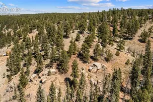 196 Beaver Creek Cir, Florissant, CO 80816 - Photo 1