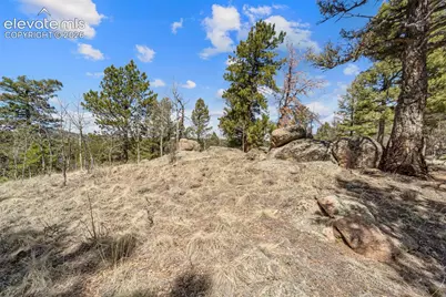 196 Beaver Creek Circle, Florissant, CO 80816 - Photo 7