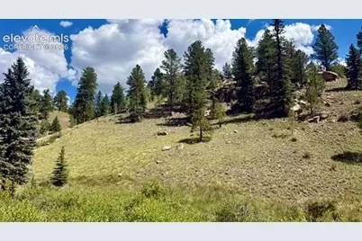 196 Beaver Creek Circle, Florissant, CO 80816 - Photo 19