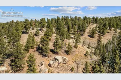 196 Beaver Creek Circle, Florissant, CO 80816 - Photo 3