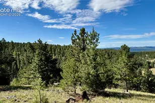 196 Beaver Creek Cir, Florissant, CO 80816 - Photo 1