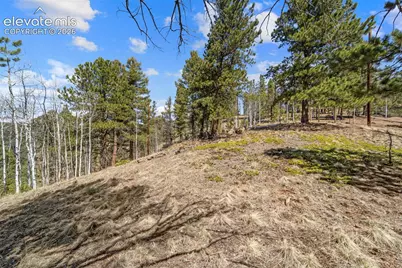 196 Beaver Creek Circle, Florissant, CO 80816 - Photo 5