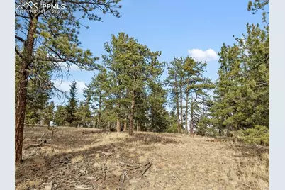 263 Valley Drive, Lake George, CO 80827 - Photo 23