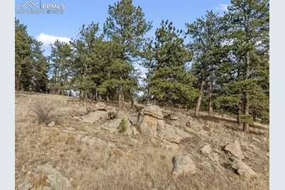 263 Valley Drive, Lake George, CO 80827 - Photo 11