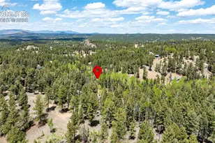 44 Silver Trail, Florissant, CO 80816 - Photo 35