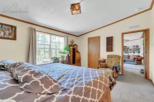 44 Silver Trail, Florissant, CO 80816 - Photo 19