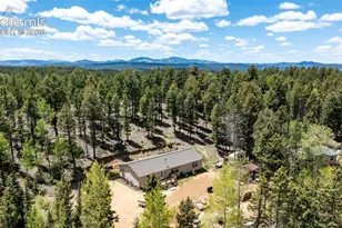 44 Silver Trail, Florissant, CO 80816 - Photo 29