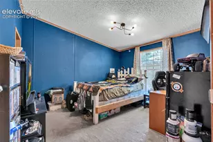 44 Silver Trail, Florissant, CO 80816 - Photo 25