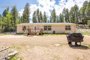 44 Silver Trail, Florissant, CO 80816 - Photo 1