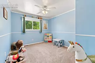 6535 Dublin Cir, Colorado Springs, CO 80918 - Photo 19