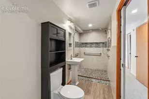 6065 Fescue Dr, Colorado Springs, CO 80923 - Photo 25