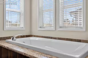 7647 Black Bear Point, Colorado Springs, CO 80922 - Photo 19