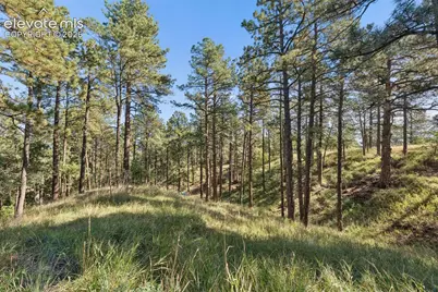 17 Midland Road, Colorado Springs, CO 80906 - Photo 41