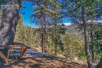 493 Horseshoe Drive, Divide, CO 80814 - Photo 5