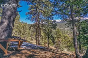 493 Horseshoe Dr, Divide, CO 80814 - Photo 5