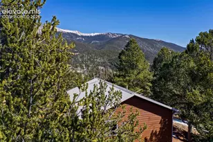 493 Horseshoe Dr, Divide, CO 80814 - Photo 9