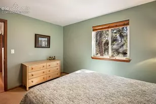 493 Horseshoe Dr, Divide, CO 80814 - Photo 39