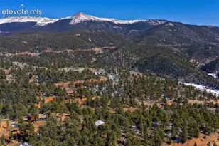 493 Horseshoe Dr, Divide, CO 80814 - Photo 43